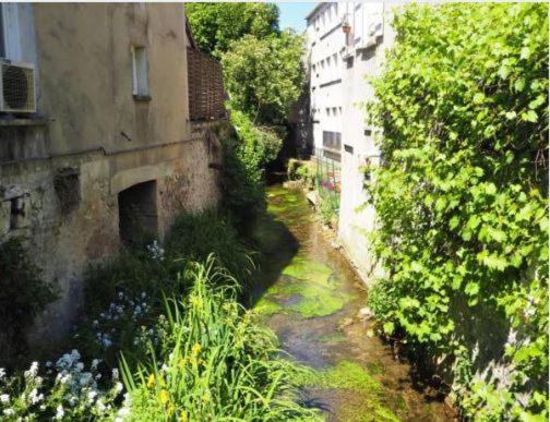 Le Gite Entre Val Et Rose Provins Exterior photo